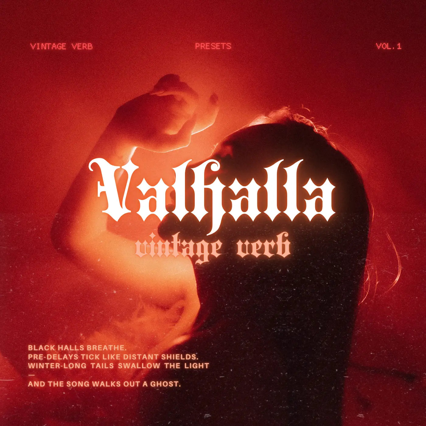 Valhalla Vintage Verb Presets - TW Labs